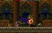 Super Castlevania IV - Screenshot 3 of 10