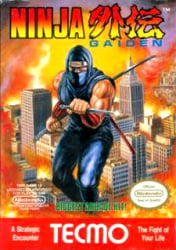 Ninja Gaiden Cover